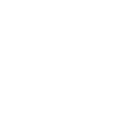 Detroit Tigers logo