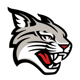Davidson Wildcats logo