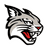 Davidson Wildcats logo