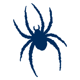 Richmond Spiders logo