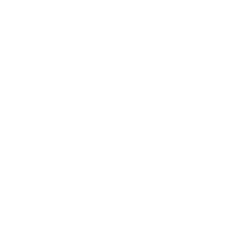 Michigan State Spartans logo