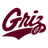 Montana Grizzlies logo