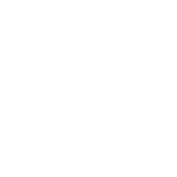 Duke Blue Devils logo