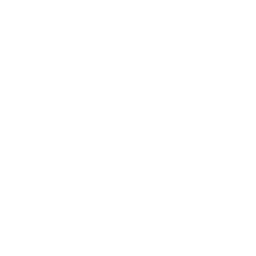 Air Force Falcons logo