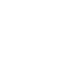 Buffalo Bulls logo