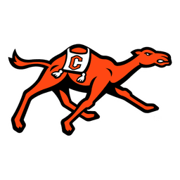 Campbell Fighting Camels logo