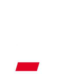 Cincinnati Bearcats logo