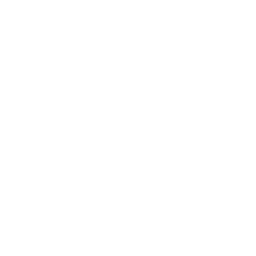 Colgate Raiders logo