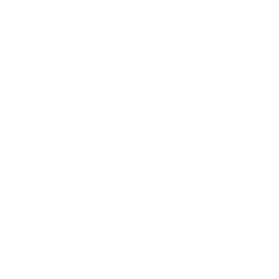 Duquesne Dukes logo