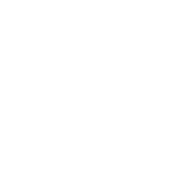 Charlotte 49ers logo