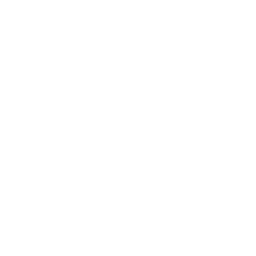 Texas A&M Aggies logo