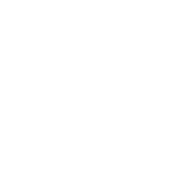 North Texas Mean Green logo