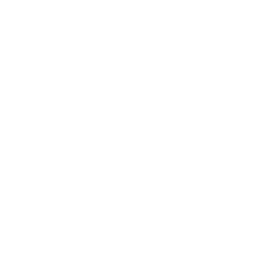 Texas Longhorns logo