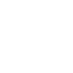 Richmond Spiders logo