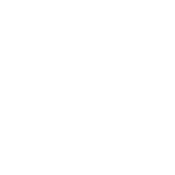 Tennessee Volunteers logo
