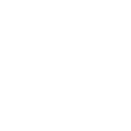 Eastern Washington Eagles logo