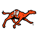 Campbell Fighting Camels logo