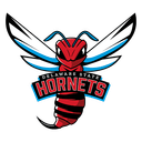 Delaware State Hornets logo