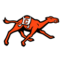 Campbell Fighting Camels logo