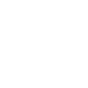 Charlotte 49ers logo